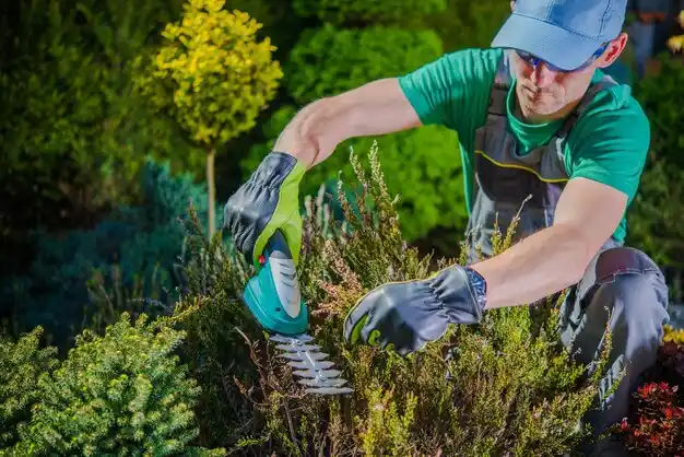 landscaping services Poquott